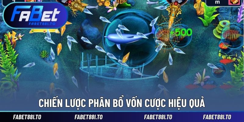 Chiến lược phân bổ vốn cược hiệu quả
